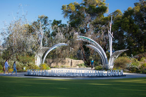 Pest Control Kings Park