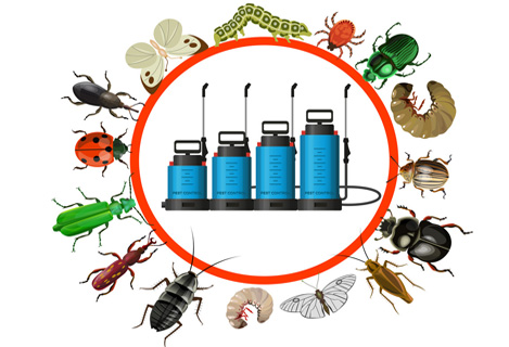 Pest Control Services Sydney