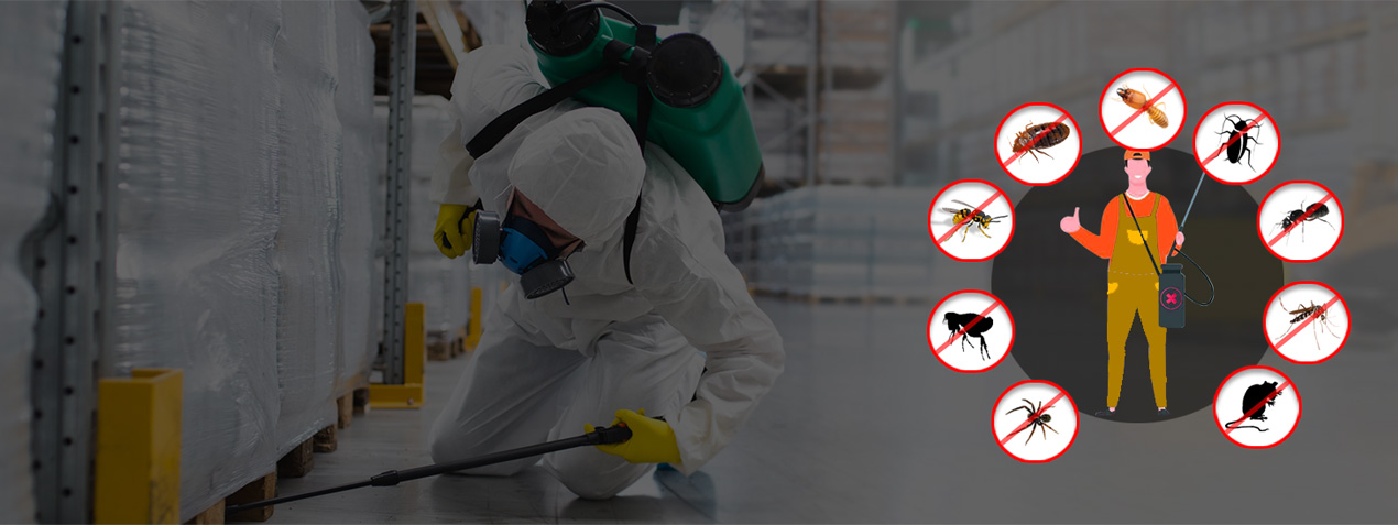 pest control sydney