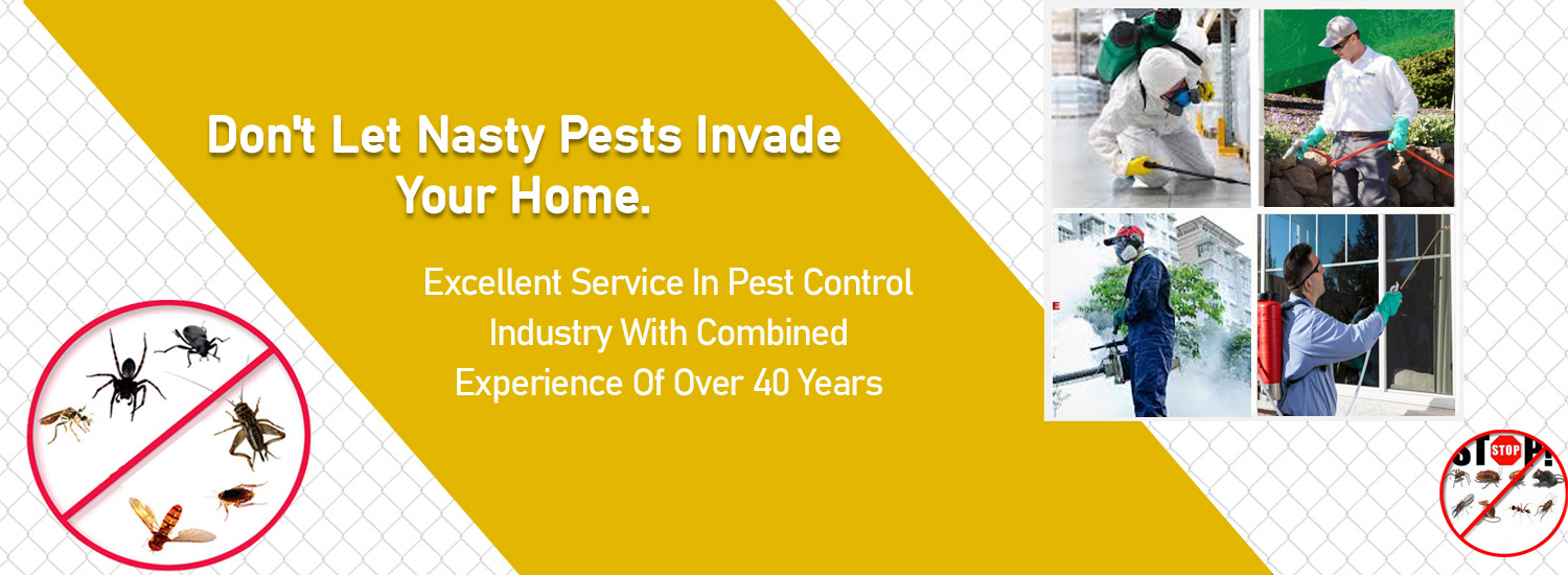 pest control sydney