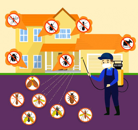pest control sydney