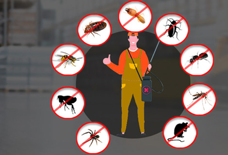 Pest Control Sydney