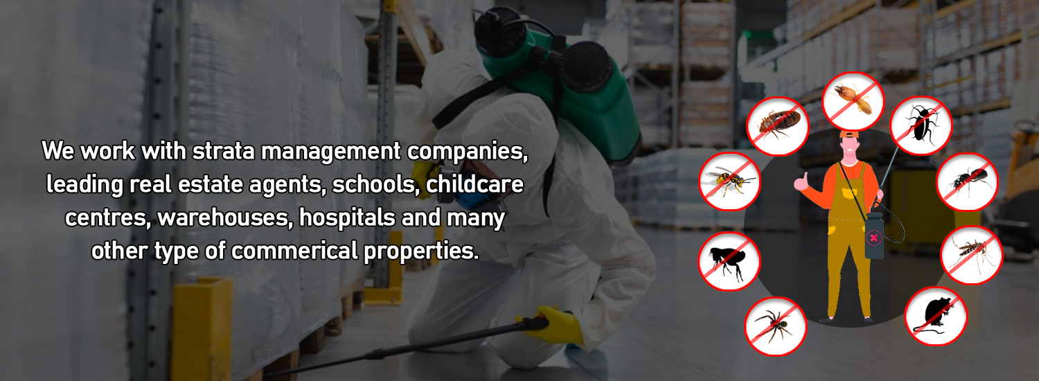 pest control sydney