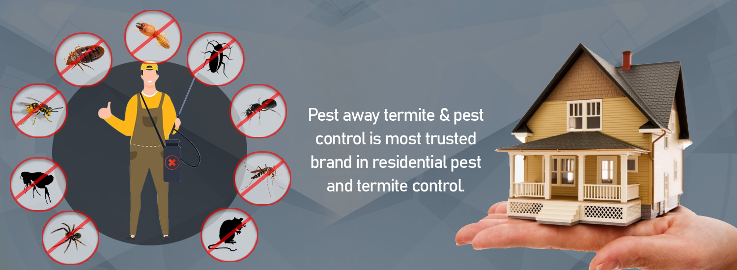 pest control sydney